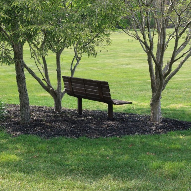 Grief and Prolonged Grief Counseling Grief and Prolonged Grief Disorder therapy with Gera McGuire, MA, NCC, LMHC